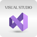 微軟 Microsoft Visual Studio 專業版 / 企業版 線上啟用金鑰
