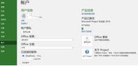 Microsoft Project 專業版 2019 產品信息