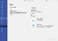 Visio 2019 專業版啟用界面